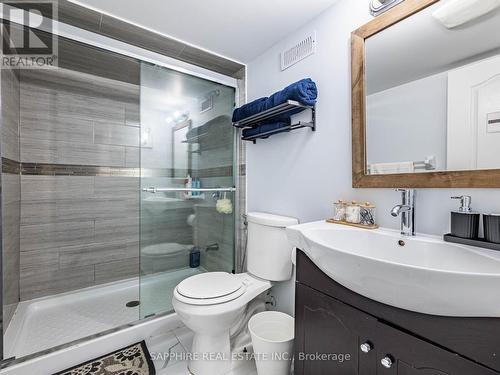 325 Trudeau Drive E, Milton, ON - Indoor Photo Showing Bathroom