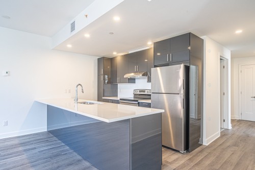 Cuisine - 1110-8115 Boul. St-Laurent, Brossard, QC - Indoor Photo Showing Kitchen With Upgraded Kitchen