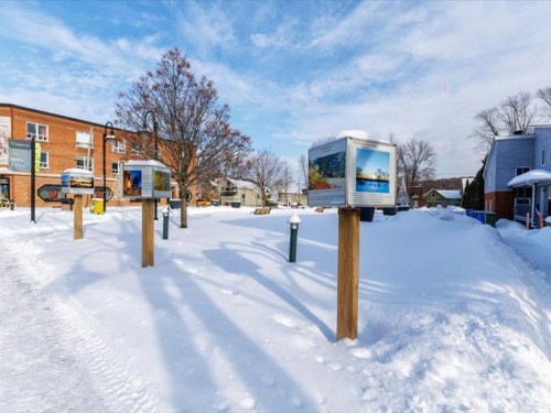 Exterior - 5164  - 5176 Rue Foster, Waterloo, QC - Outdoor