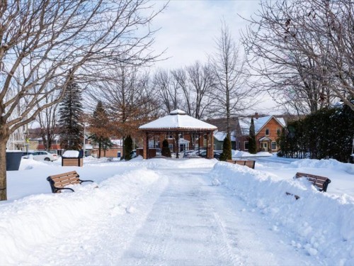 Exterior - 5164  - 5176 Rue Foster, Waterloo, QC - Outdoor
