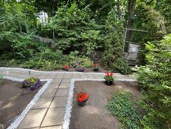 Garden - 