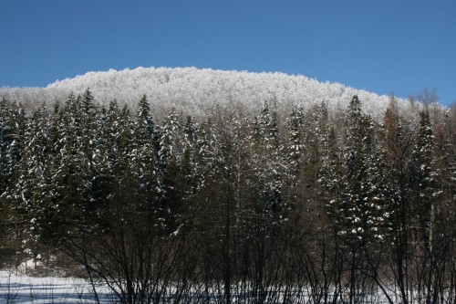 Boisé - 2216 Mtée Sauvage, Saint-Adolphe-D'Howard, QC - Outdoor With View