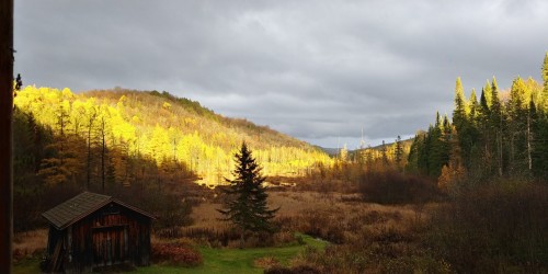 Vue - 2216 Mtée Sauvage, Saint-Adolphe-D'Howard, QC - Outdoor With View