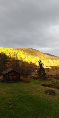 Extérieur - 2216 Mtée Sauvage, Saint-Adolphe-D'Howard, QC - Outdoor With View