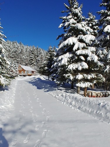 Extérieur - 2216 Mtée Sauvage, Saint-Adolphe-D'Howard, QC - Outdoor With View
