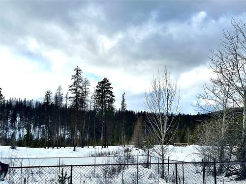 102 Ponderosa View, Kimberley, BC - Outdoor