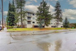 206-18 King George St  Lake Cowichan, BC V0R 2G0