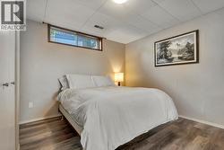 Third bedroom on lower level - 