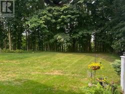 Back porch scenery - 