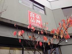 10A 8145 130 STREET  Surrey, BC V3W 7X4