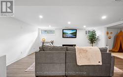 Large Basement windows - 