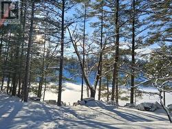 1112 SAM COOK ROAD  Gravenhurst (Ryde), ON P1P 1R3