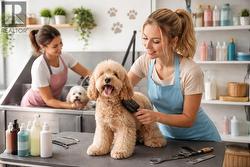 6650 ROYAL AVENUE  West Vancouver, BC V7W 2B9