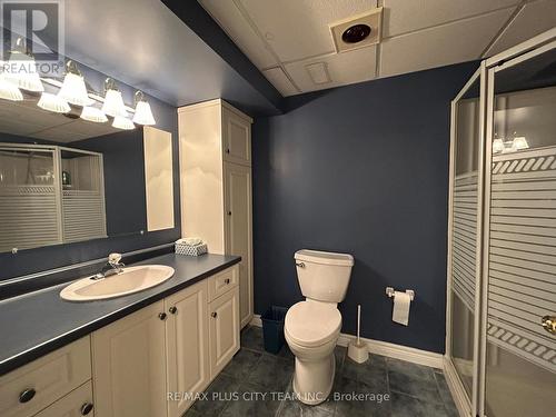506 Dicenzo Drive, Hamilton, ON - Indoor Photo Showing Bathroom