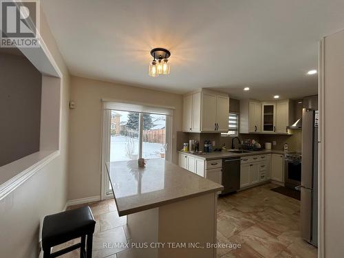 506 Dicenzo Drive, Hamilton, ON - Indoor Photo Showing Kitchen