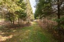 Wooded area - 200 Rg Des Cyprès, Saint-Sylvère, QC  - Outdoor With View 