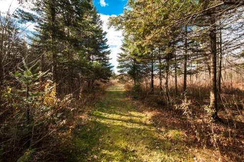Wooded area - 200 Rg Des Cyprès, Saint-Sylvère, QC - Outdoor With View