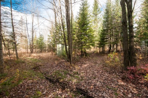 Wooded area - 200 Rg Des Cyprès, Saint-Sylvère, QC - Outdoor With View