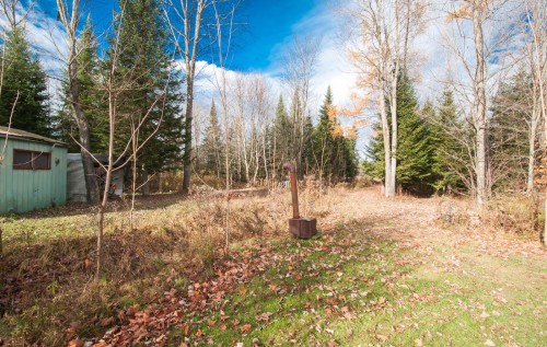 Wooded area - 200 Rg Des Cyprès, Saint-Sylvère, QC - Outdoor