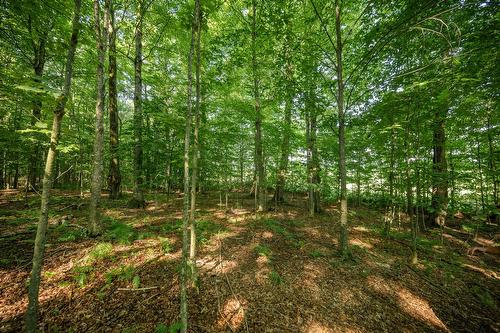 Boisé - 970Z Ch. Grainger, Melbourne, QC 