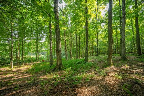 Boisé - 970Z Ch. Grainger, Melbourne, QC 