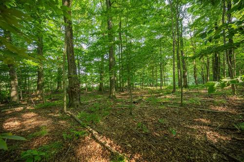 Boisé - 970Z Ch. Grainger, Melbourne, QC 