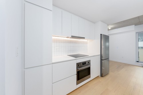 Kitchen - 1408-100 Rue Murray, Montréal (Le Sud-Ouest), QC - Indoor Photo Showing Kitchen