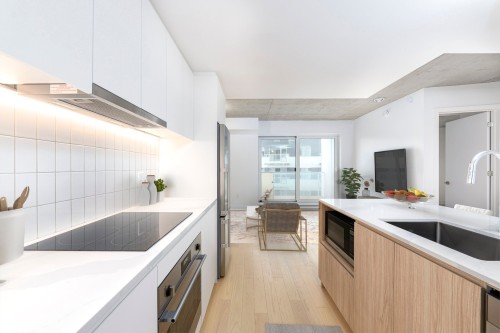 Kitchen - 1408-100 Rue Murray, Montréal (Le Sud-Ouest), QC - Indoor Photo Showing Kitchen With Upgraded Kitchen