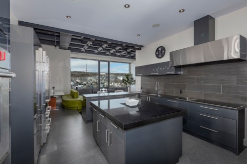 Cuisine - Ph-3-1455 Rue Sherbrooke O., Montréal (Ville-Marie), QC - Indoor Photo Showing Kitchen