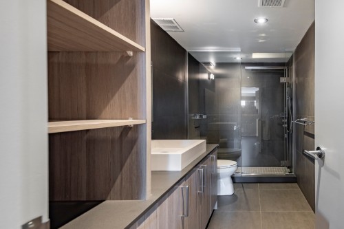 Salle de bains - Ph-3-1455 Rue Sherbrooke O., Montréal (Ville-Marie), QC - Indoor Photo Showing Bathroom