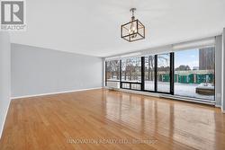 All that Sunlight! - 