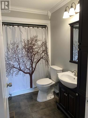 1 Logwood Road, Fortune, NL - Indoor Photo Showing Bathroom