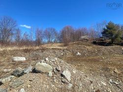 AB-1A-D Shore DrivE  Bedford, NS B4A 2C8