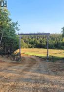 2 Main Road  St Patricks, NL A0J 1J0