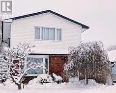 7 JAMES STREET  Kawartha Lakes (Lindsay), ON K9V 3B3
