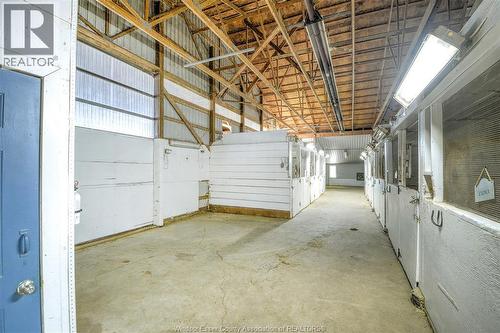 6400 Walker, Tecumseh, ON 