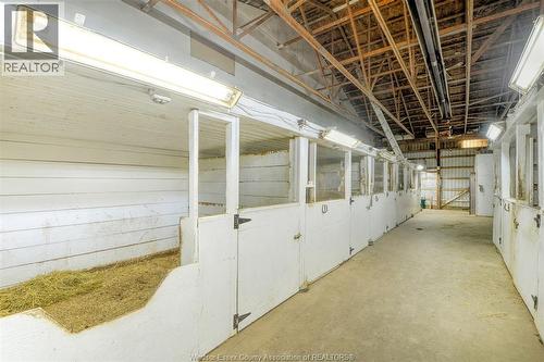 6400 Walker, Tecumseh, ON 