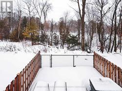 View from dining room - 