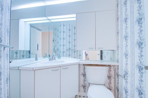 Salle d'eau - 229 Rue De La Noue, Montréal (Verdun/Île-Des-Soeurs), QC 