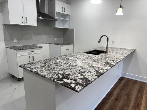 Cuisine - 4842 Rue Wellington, Montréal (Verdun/Île-Des-Soeurs), QC - Indoor Photo Showing Kitchen With Double Sink With Upgraded Kitchen