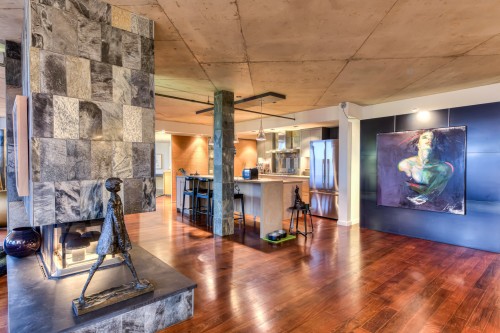 Vue d'ensemble - 703-285 Av. Laurier E., Montréal (Le Plateau-Mont-Royal), QC - Indoor With Fireplace