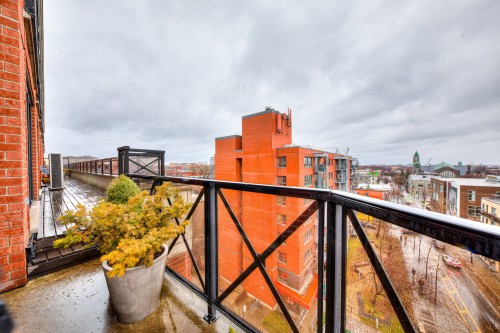 Balcon - 703-285 Av. Laurier E., Montréal (Le Plateau-Mont-Royal), QC - Outdoor