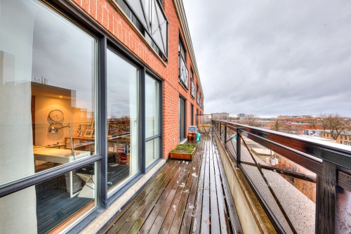 Balcon - 703-285 Av. Laurier E., Montréal (Le Plateau-Mont-Royal), QC - Outdoor With Exterior