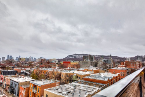 Vue - 703-285 Av. Laurier E., Montréal (Le Plateau-Mont-Royal), QC - Outdoor With View
