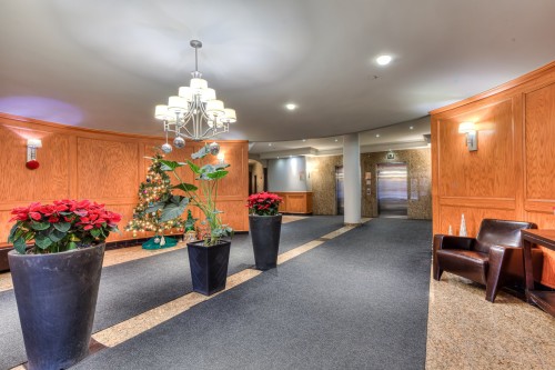 Réception - 703-285 Av. Laurier E., Montréal (Le Plateau-Mont-Royal), QC - Indoor Photo Showing Other Room