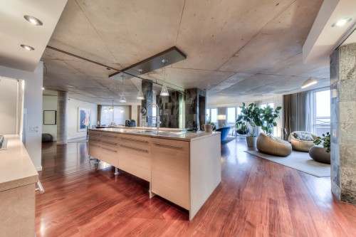 Vue d'ensemble - 703-285 Av. Laurier E., Montréal (Le Plateau-Mont-Royal), QC - Indoor Photo Showing Other Room