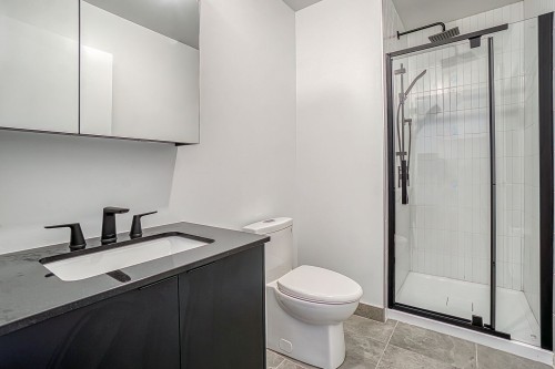 Salle de bains - 116-4240 Rue Augustin-Frigon, Montréal (Rosemont/La Petite-Patrie), QC - Indoor Photo Showing Bathroom