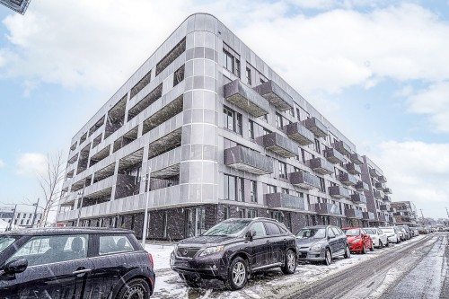 Façade - 116-4240 Rue Augustin-Frigon, Montréal (Rosemont/La Petite-Patrie), QC - Outdoor