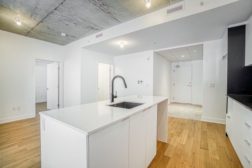 Cuisine - 116-4240 Rue Augustin-Frigon, Montréal (Rosemont/La Petite-Patrie), QC - Indoor Photo Showing Kitchen With Upgraded Kitchen