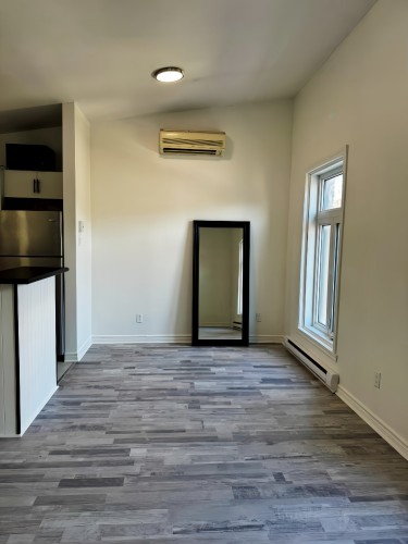 Overall view - 1809 Rue Ontario E., Montréal (Ville-Marie), QC - Indoor Photo Showing Other Room